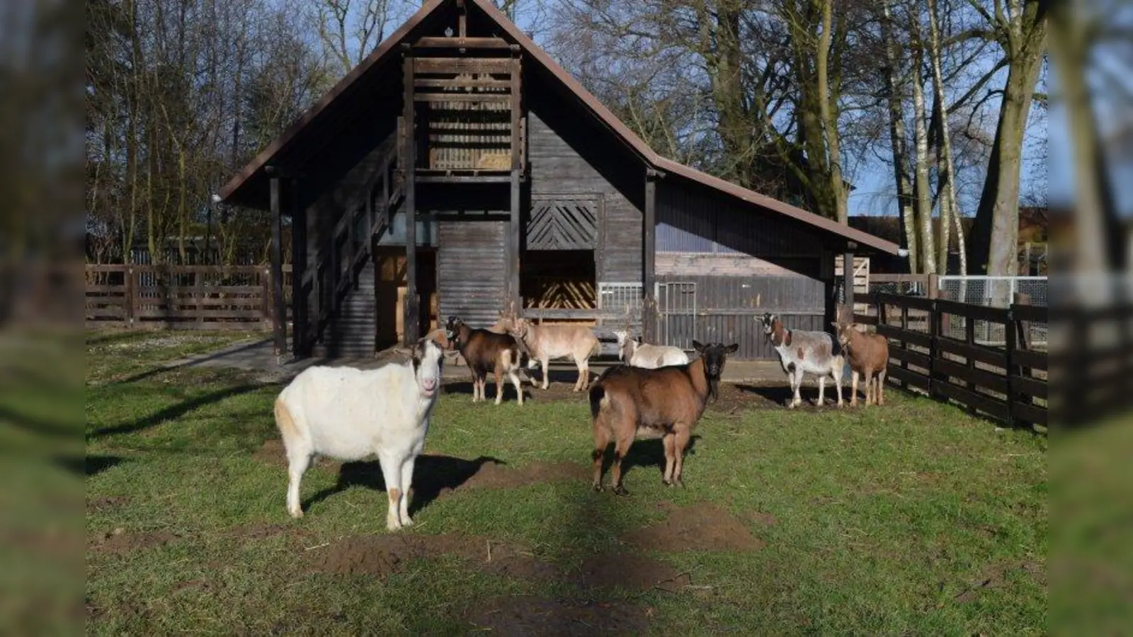 Ein Ort voller Leben: Der Gnadenhof des Tierschutzvereins München gleicht einem großen Bauernhof. (Foto: eis)