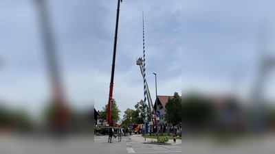 In luftiger Höhe wurden nach dem Aufstellen dann noch die Zunftzeichen von den Burschen angebracht.  (Foto: hw)