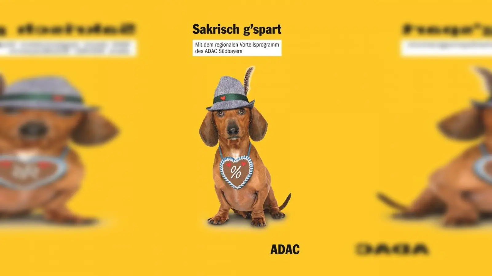 Dackel „Franzl“ ist ganz verrückt nach den regionalen Vorteilsangeboten des ADAC Südbayern. (Foto: Bild: ADAC)