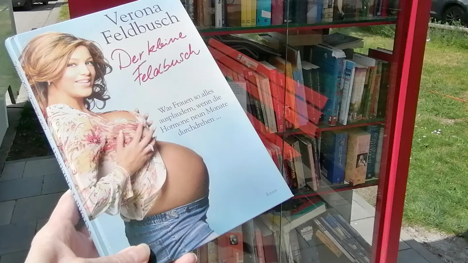 Ein »Tagebuch« aus dem Laimer Bücherschrank, das man ebenso wenig unterschätzen sollte wie seine Autorin. (Foto: job)