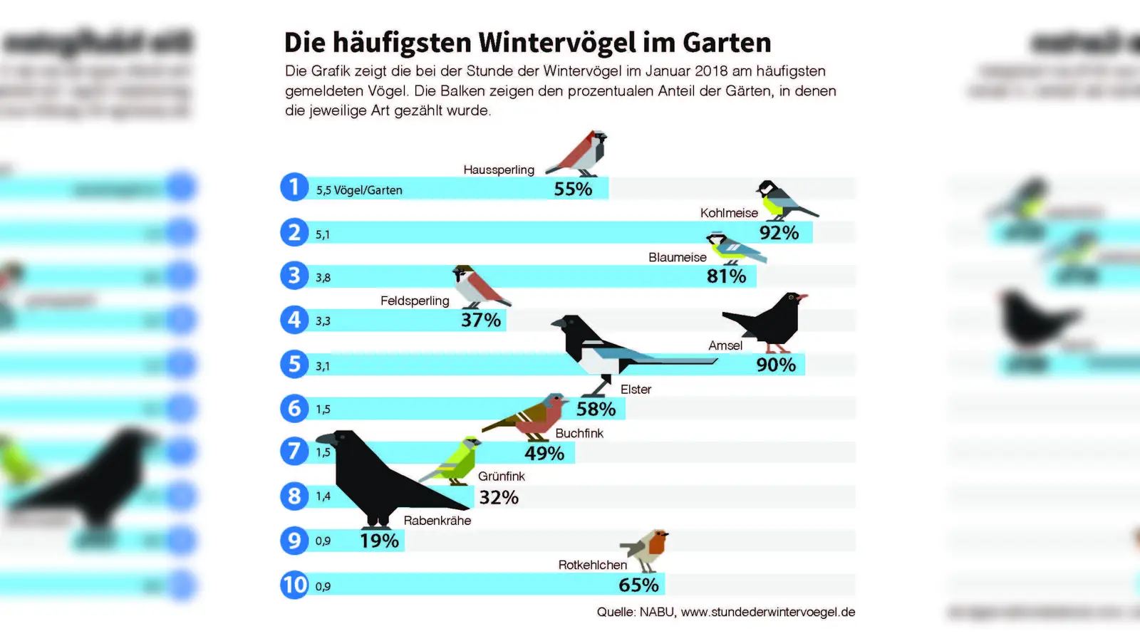 Die zehn Wintervögel im Garten, die bei der Stunde der Wintervögel 2018, am häufigsten gemeldet wurden. (Foto: NABU)