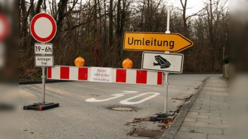In der Dämmerung beginnen die Frösche ihre Wanderung zu den Laichplätzen. Autofahrer sind angehalten, die Hinweisschilder in der Jörg-Tömlinger-Straße zu beachten. (Foto: US)