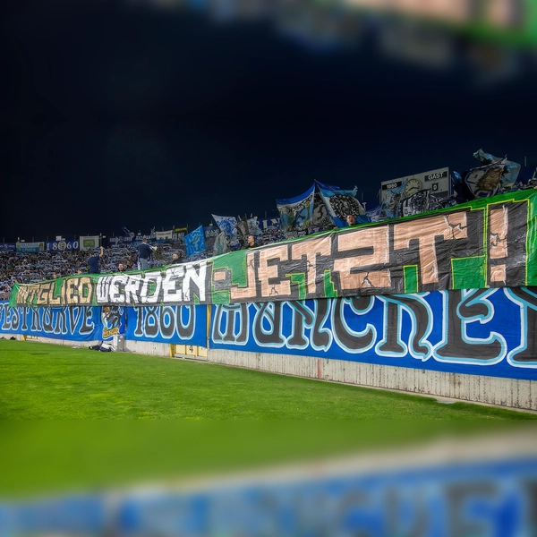 Wieder mitgliederbasiert: TSV 1860 München.  (Foto: Anne Wild)