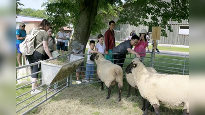 Beim Tag der offenen Tür konnte man das Leben auf einem Bauernhof hautnah miterleben.  (Foto: Gleixner)