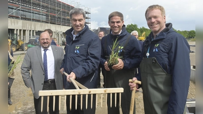 Ministerpräsident Markus Söder, Kirchheims Bürgermeister Maximilian Böltl (2. von r.), der Vorsitzende der Bayerischen Landesgartenschau GmbH, Gerhard Zäh (l.) und der Aufsichtsratsvorsitzende der Kirchheim 2024 GmbH, Stephan Keck, pflanzten mit an. (Foto: Claus Schunk/Kirchheim 2024 GmbH)