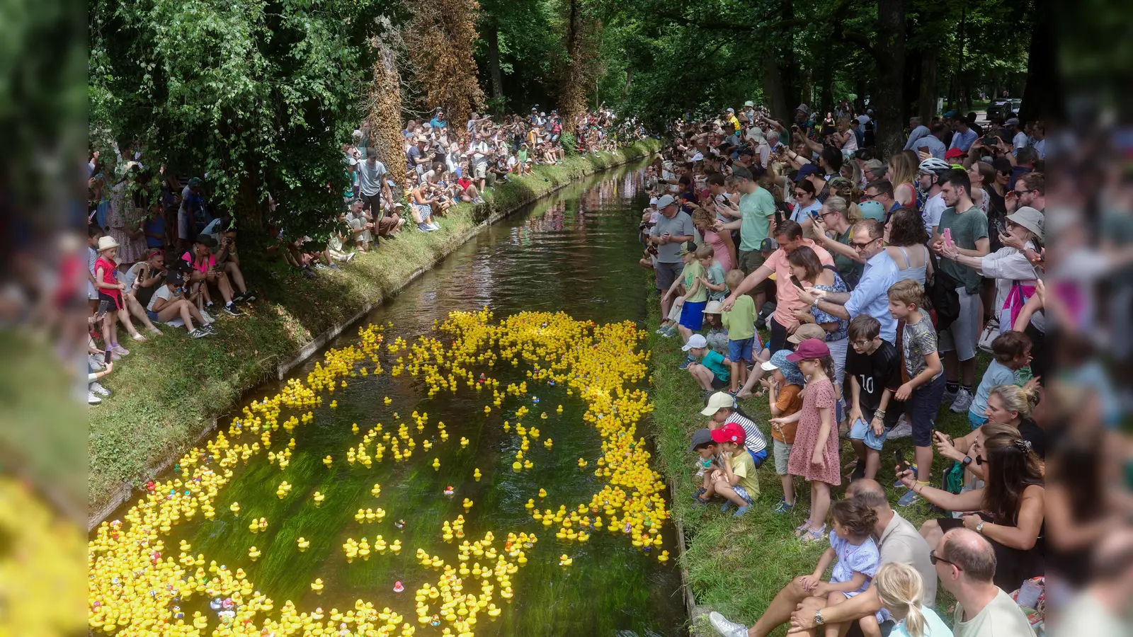Etwa 2.000 Enten gingen auf dem Pasing-Nymphenburg-Kanal ins Rennen. (Foto: Lions Club)