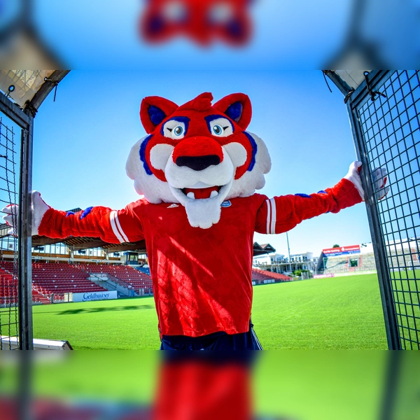 Natürlich wird auch das Maskottchen der SpVgg Unterhaching am Samstag mit von der Partie sein. (Foto: SpVgg Unterhaching)