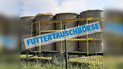 Eine Futtertauschbörse ist für vom Hochwasser betroffenen Landwirte eingerichtet worden. (Foto: ELF)