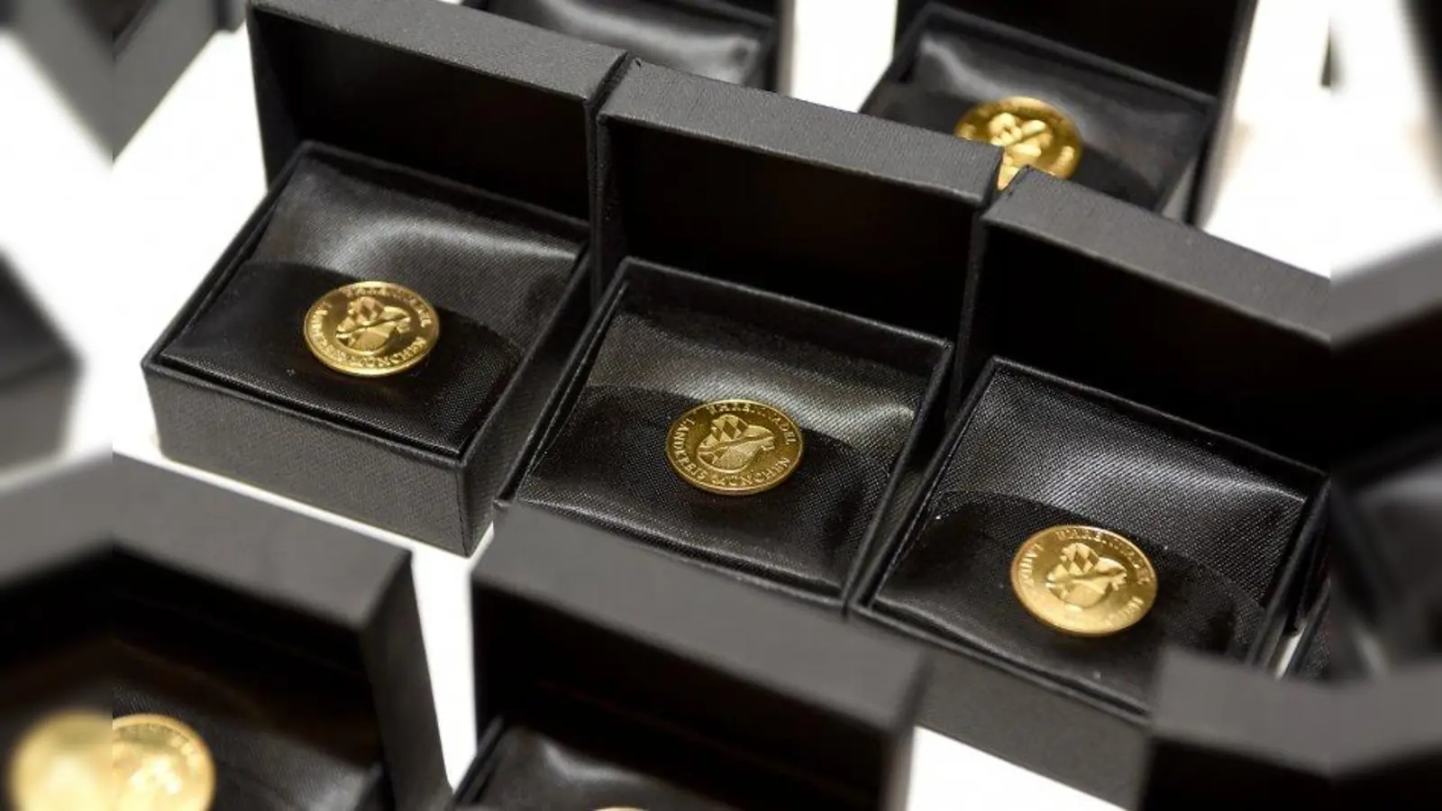 Die Geehrten erhielten eine Ehrennadel des Landkreises München. (Foto: Landratsamt)