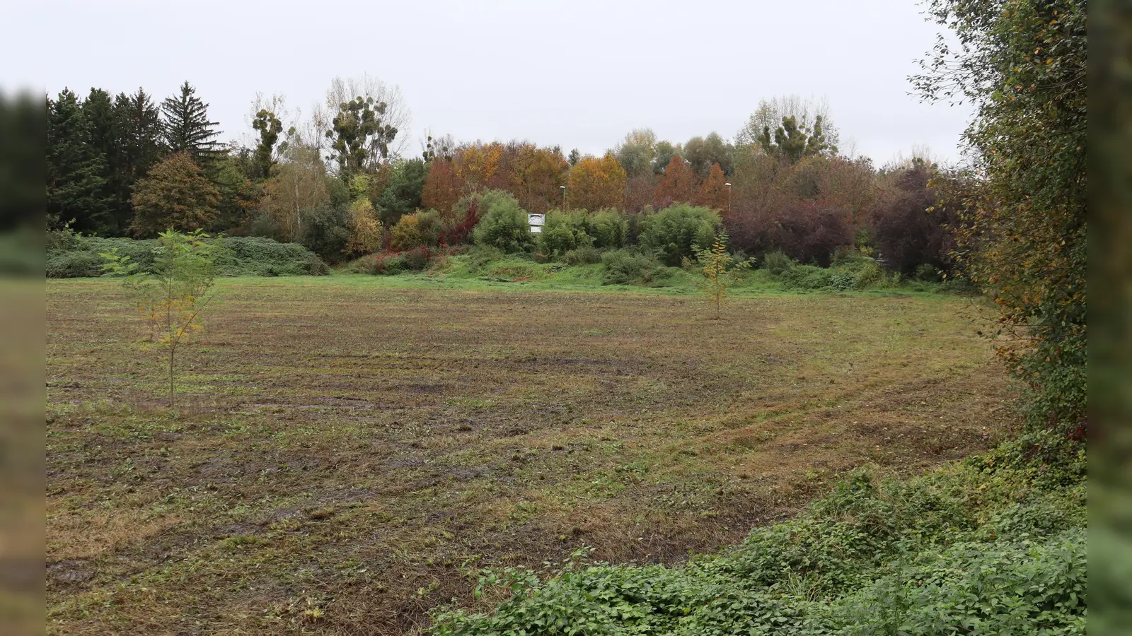 Südlich des Botanikums dominieren jetzt noch grün und braun, doch die Stadt München plant hier ein neues Wohnquartier mit Schule und Jugendzentrum. (Foto: bas)