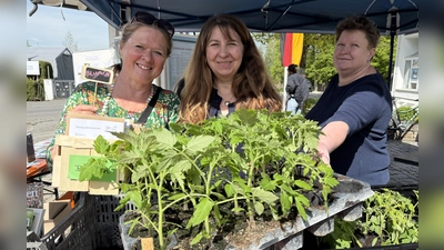 Auf dem Pflanzenmarkt stellen (v. l.) Juliane Seeliger-von Gemmingen, Barbara König-Schmidbauer und Edith Liebhart die Saatgut-Bibliothek vor.  (Foto: pst)