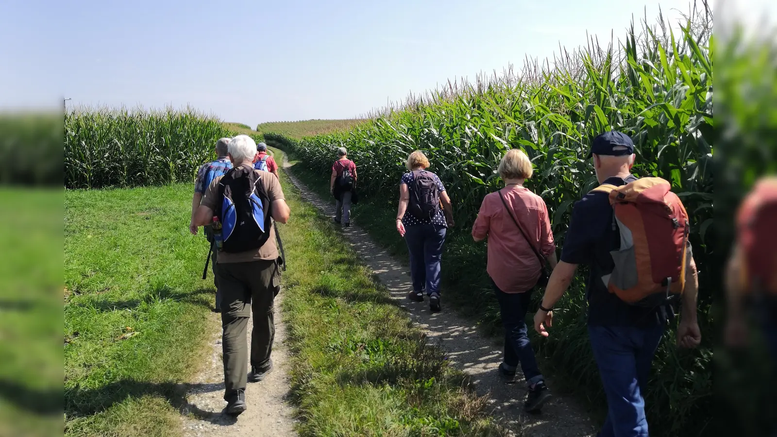Die Alzheimer Gesellschaft München beteiligt sich an der Münchner FreiwilligenMesse am Sonntag, 15. März, im Neuen und Alten Rathaus am Marienplatz. (Foto: red)