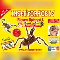 Mit über 500 Exemplaren die größte und Artenreichste Spinnen &amp; Insekten Ausstellung in Deutschland. (Foto: Neigert)