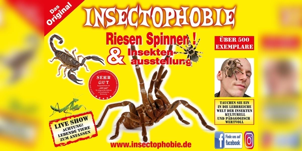 Mit über 500 Exemplaren die größte und Artenreichste Spinnen &amp; Insekten Ausstellung in Deutschland. (Foto: Neigert)