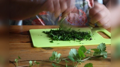 Mit dem Wiegemesser werden die Kräuter ebenfalls fein zerkleinert. (Foto: Huss-Weber)