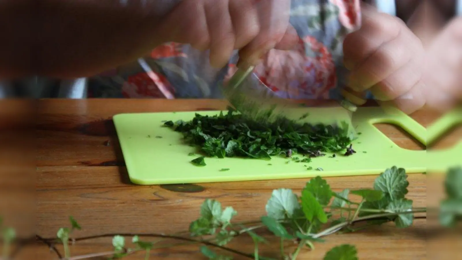 Mit dem Wiegemesser werden die Kräuter ebenfalls fein zerkleinert. (Foto: Huss-Weber)