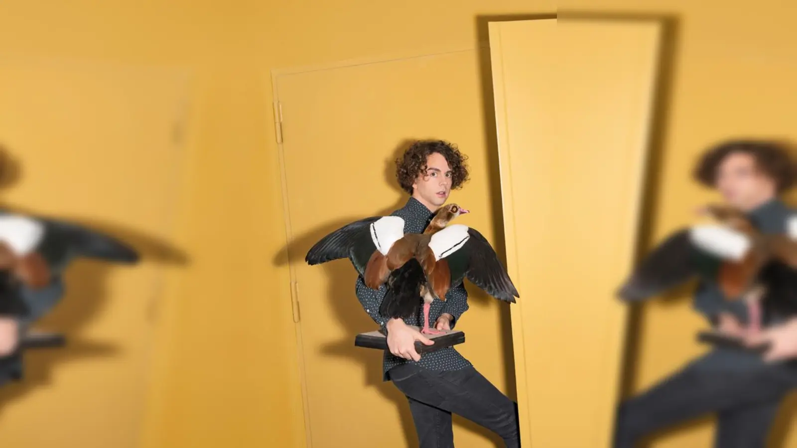 Jetzt Karten sichern für Kabarettabend mit Matthias Ningel.  (Foto: VA)