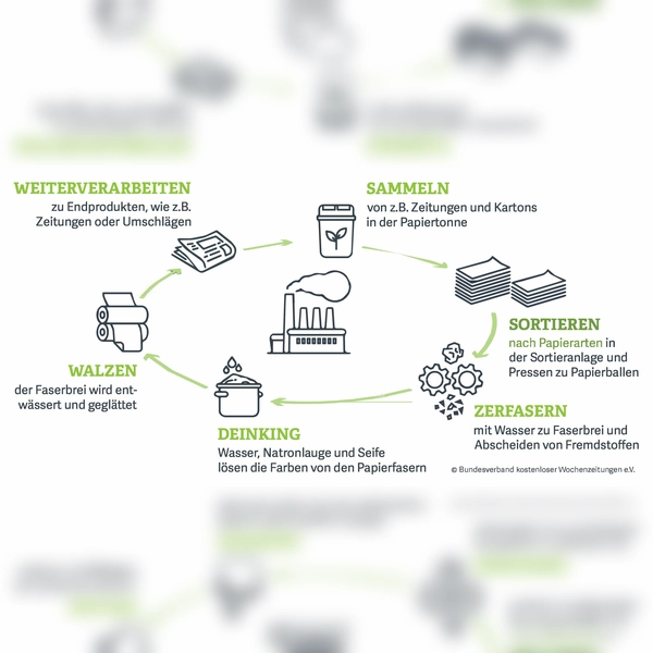 So funktioniert der Papierkreislauf. (Grafik: BVDA)