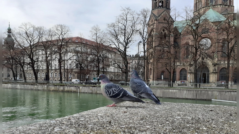Da guckst du! Das Bett der großen Isar wird im Rahmen der Bachauskehr von Müll und Sedimenten befreit – hier der Abschnitt gegenüber der St.-Lukas-Kirche.  (Symbolbild: mha)