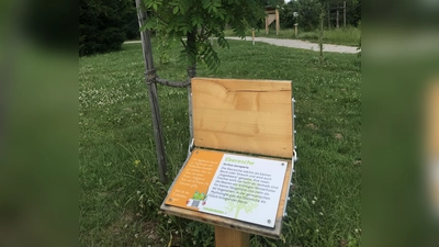 Im Umweltgarten Neubiberg gibt es für Naturfreunde viel zu entdecken.  (Foto: hw)