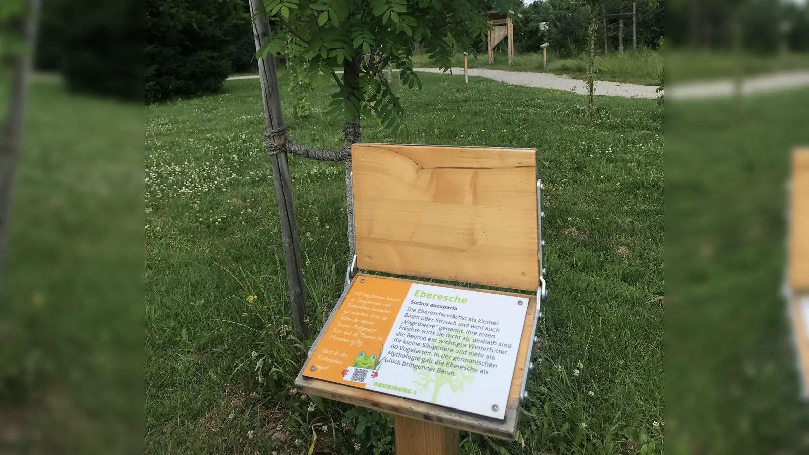 Im Umweltgarten Neubiberg gibt es für Naturfreunde viel zu entdecken.  (Foto: hw)