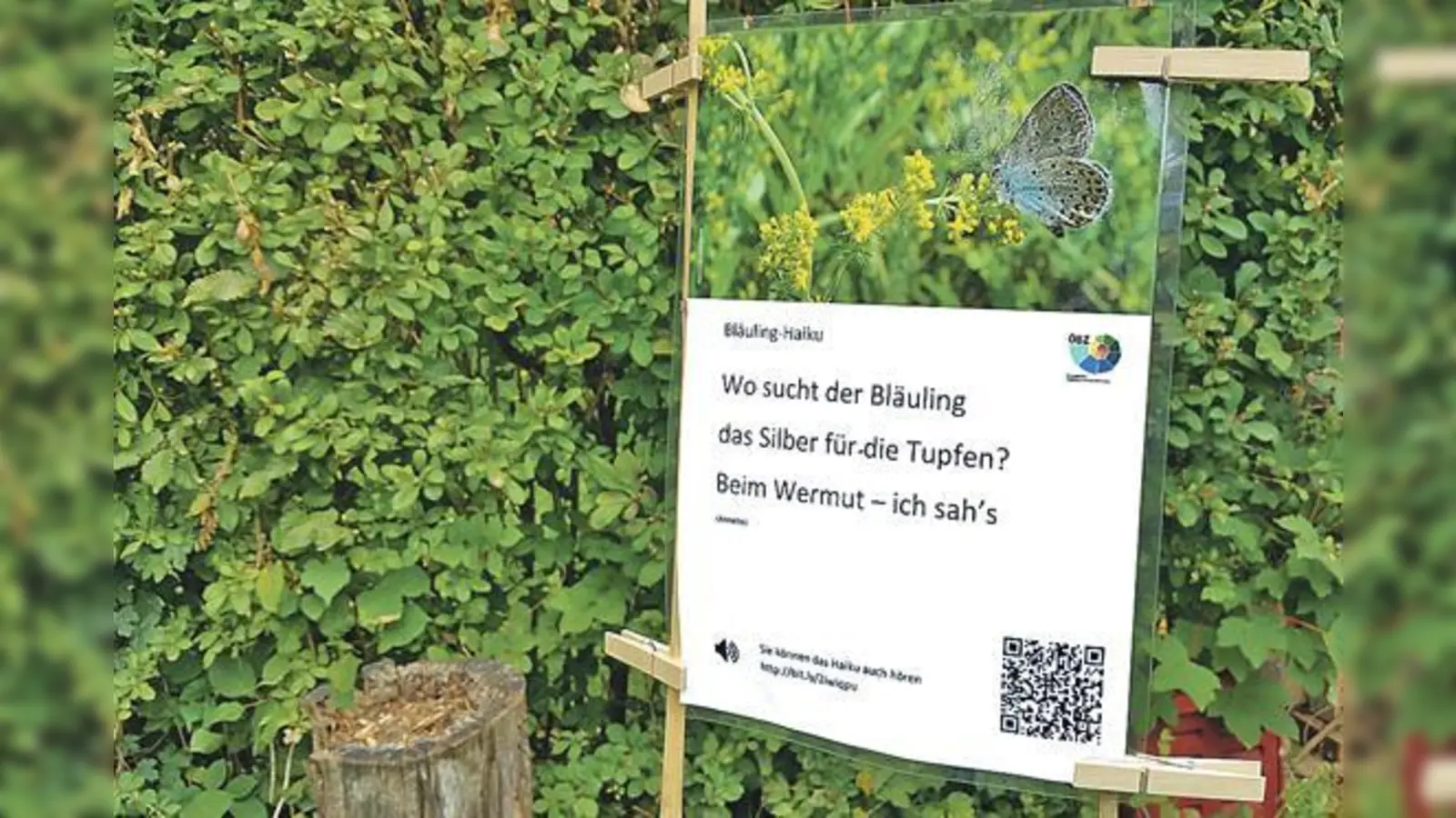 Gärtner und Besucher des ÖBZ verfassten Haikus, die nun in einer Ausstellung zu sehen und zu lesen sind.	 (Foto: VA)