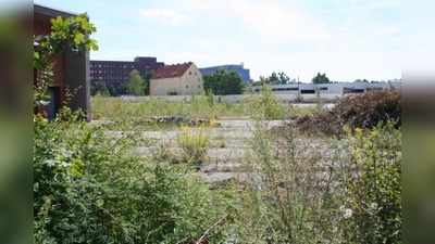 Diese Brache an der Zschokkestraße soll sich ab Ende 2009 in ein lebendiges Quartier verwandeln. Der BA Laim will dafür mehr Autostellplätze als geplant. (Foto: tg)