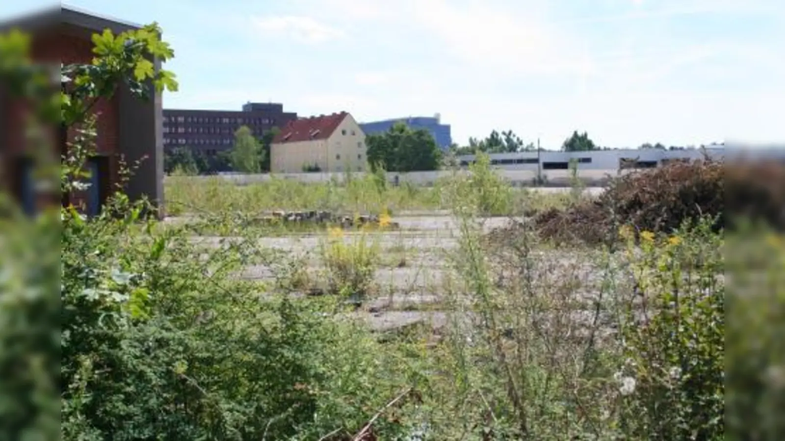Diese Brache an der Zschokkestraße soll sich ab Ende 2009 in ein lebendiges Quartier verwandeln. Der BA Laim will dafür mehr Autostellplätze als geplant. (Foto: tg)