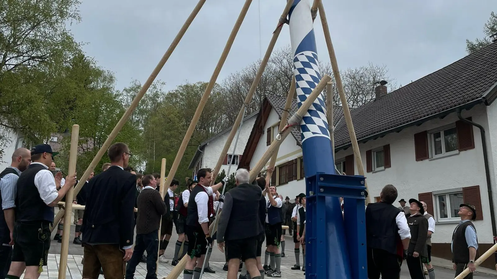 Mit dem Kran kann's ja jeder - Aber das Maibaumaufstellen von Hand mit Stangen, wie hier in Gilching, erfordert viel Geschick. (Foto: Patrizia Steipe)
