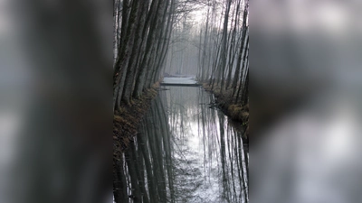Im Herbst muss man etwas für sein Immunsystem tun, um gegen Erkältungen gewappnet zu sein. (Foto: ek)