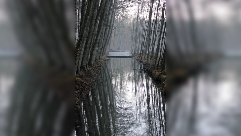 Im Herbst muss man etwas für sein Immunsystem tun, um gegen Erkältungen gewappnet zu sein. (Foto: ek)