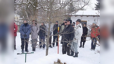 Auch dieses Jahr lädt die Eigenheimervereinigung zum Winterschnittkurs ein.  (Foto: privat)