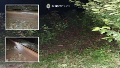 Die Spuren in der Böschung und am Gleis konnten klar dem Auto des flüchtenden 23-Jährigen nachgewiesen werden. (Foto: Bundespolizei)