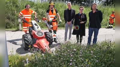 Bürgermeister Dominik Krause, Baureferentin Jeanne-Marie Ehbauer und Florian Hochstätter vom Baureferat (rechts) stellten den Sachstand zur Umstellung der Straßenbegleitgrüns-Mahd vor. (Foto: Michael Nagy/Presseamt)