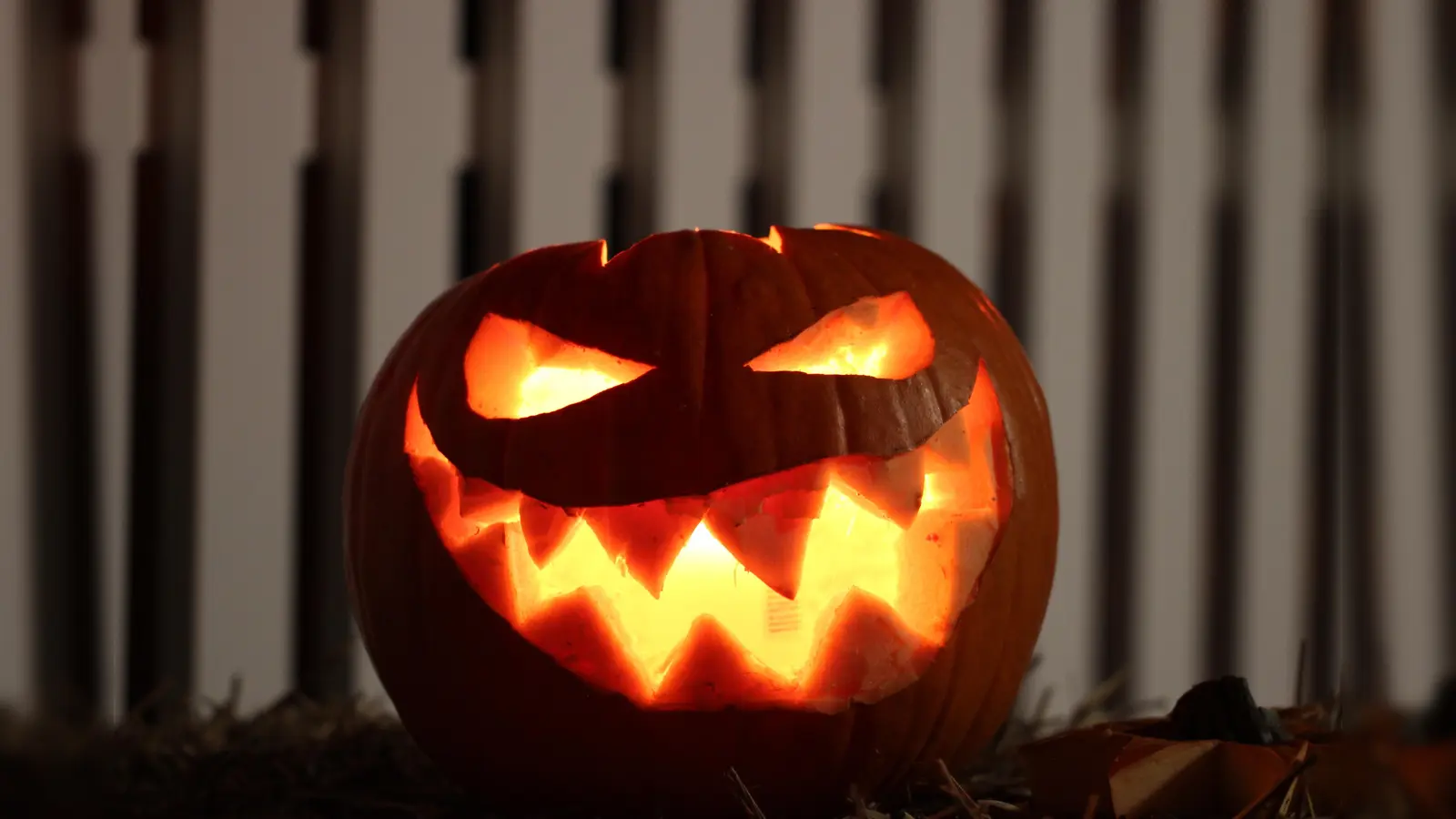 An Halloween hat es keine großen Vorfälle gegeben. (Symbolbild: CC0)