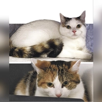 Lele und Lydia. (Foto: Tierheim Riem)