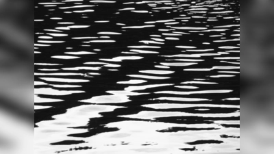 Bayerischer Wald, Juli 2023 (Foto: Reinhard Mohr)