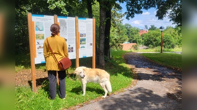 Wie hier auf dem Kyberg hat die Gemeinde Oberhaching an neun Orten neue, moderne Informationstafeln zu ihrer Geschichte aufgestellt. (Foto: Gemeinde Oberhaching)