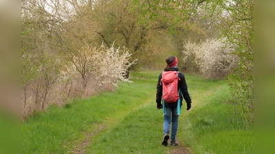 Um sich in der Natur zurechtzufinden, gibt es jetzt eine verlässliche App vom Bayerischen Staatsministerium für Umwelt und Verbraucherschutz.  (Foto: © Ulrich Müller, StMUV)