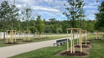 Das Baureferat hat insgesamt 210 Bäume östlich des Badesees im Riemer Park gepflanzt. (Foto: Planungsbüro Großberger Beyhl Partner)