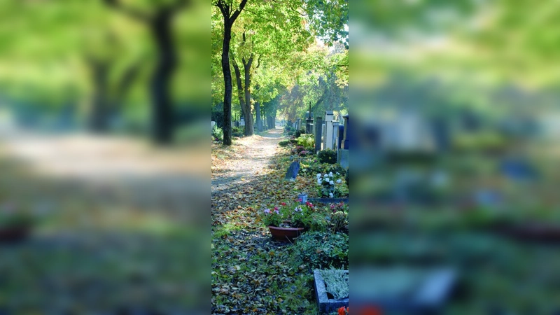 Die Friedhofsverwaltung informiert beim Tag der offenen Tür am Samstag unter anderem auch über Grabgestaltung. (Foto: pi)