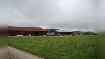 Noch ist es ruhig auf der Wiese am Ortsausgang von Frieding. Die Eckpunkte für das Zelt werden abgesteckt, bevor die schweren Geräte anrücken. (Foto: Huss-Weber)