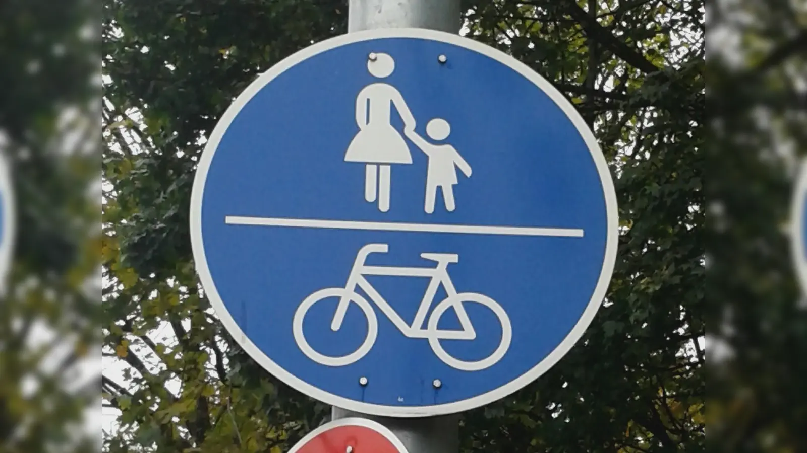 Wo Fußgänger und Radfahrer sich Wege teilen, kommt es immer wieder zu Konflikten. Deutliche weiße Trennlinien zwischen den Bahnen sollen für mehr Sicherheit sorgen. (Foto: Beatrix Köber)