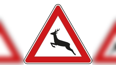 Besonders abends und in den Morgenstunden können Wild und Kraftfahrer aufeinander teffen.  (Foto: hw)