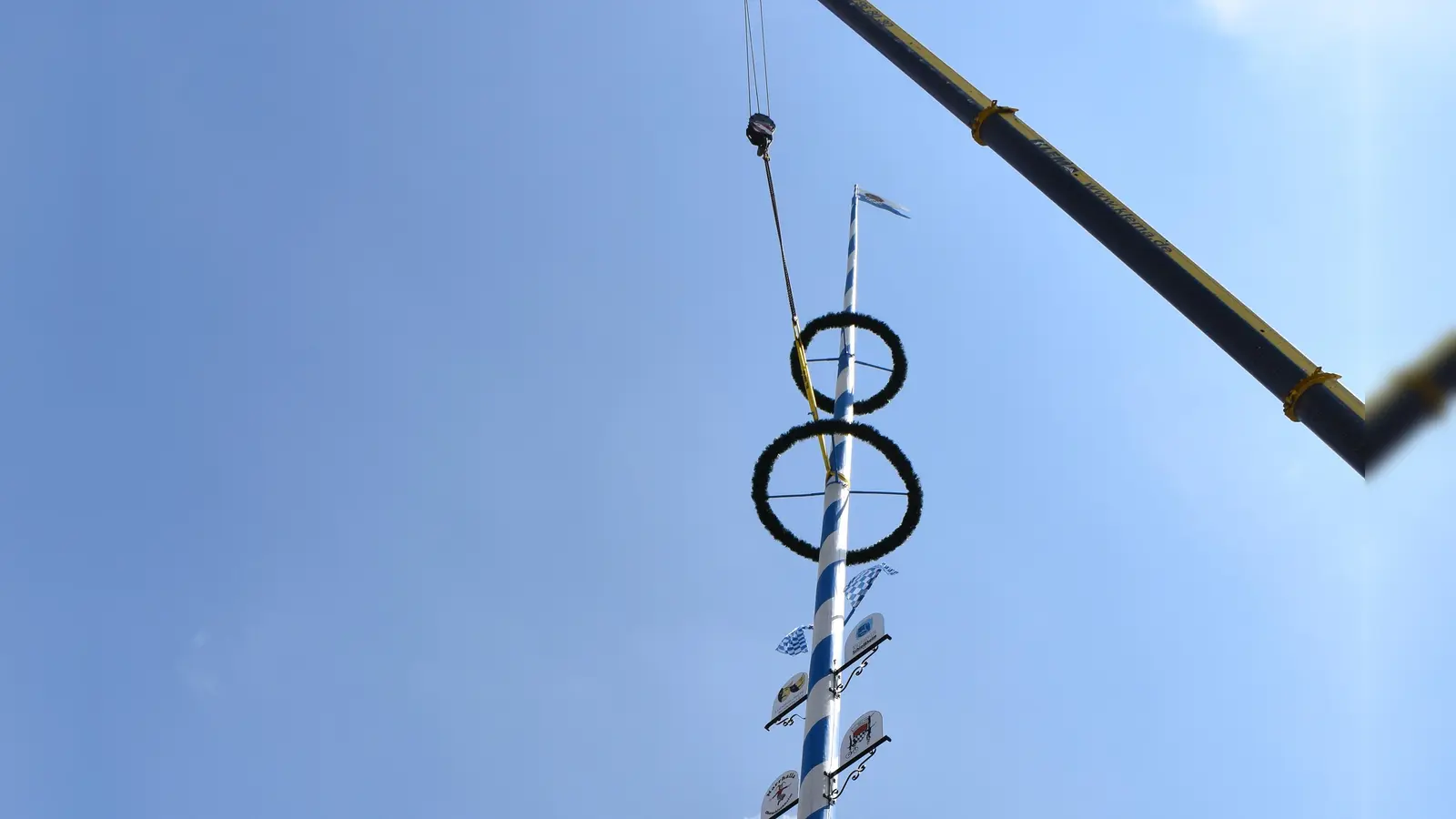In Oberschleißheim wird dieser Baum heuer durch ein neues Stangerl ersetzt.  (Foto: Daniel Mielcarek)