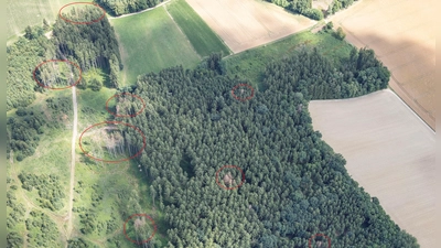 Das AELF macht Luftaufnahmen und kennzeichnet die befallenen Bäume (rote Kreise). (Foto: Jörg Bodenbender)