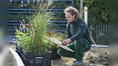 Über 1.500 junge Frauen und Männer befanden sich 2022 in einem laufenden Ausbildungsverhältnis im bayerischen Garten- und Landschaftsbau. (Foto: C. Tietz / VGL Bayern)