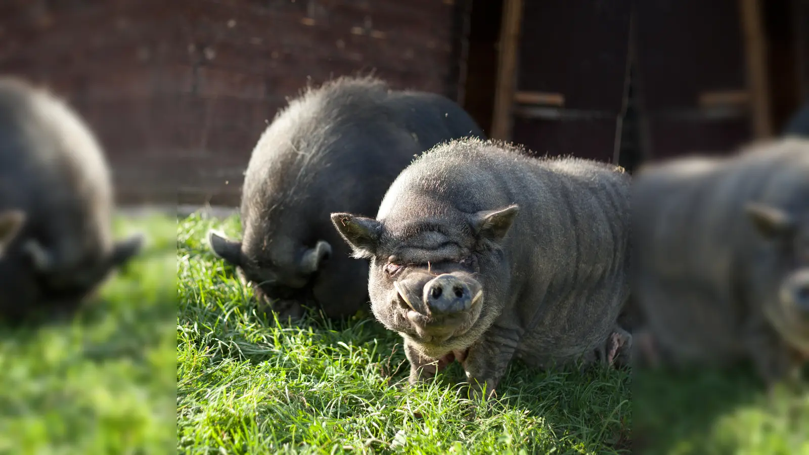 Foto: Sebastian Knop