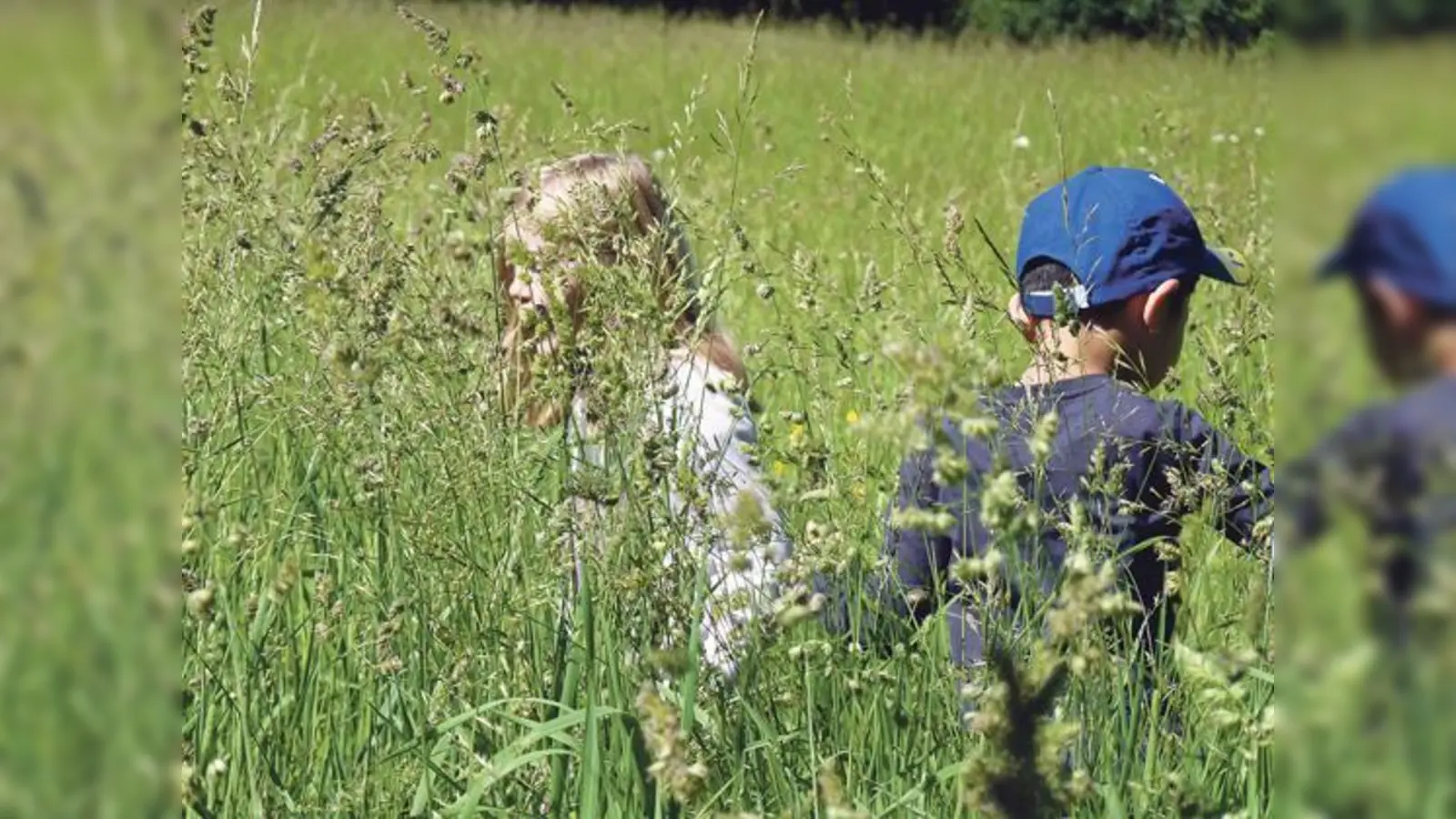Kinder ab acht Jahren können rund um das Ökologische Bildungszentrum kreativ die Natur erkunden.	 (Foto: VA)