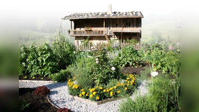 Kreative Gartengestaltung (Foto: Markus Wasmeier)